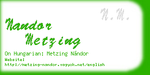 nandor metzing business card